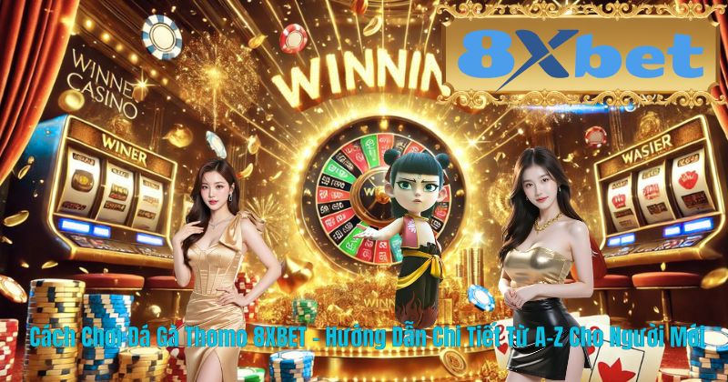 Cách Chơi Đá Gà Thomo 8XBET – Hướng Dẫn Chi Tiết Từ A-Z Cho Người Mới