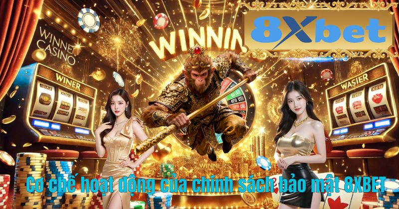 Cơ chế hoạt động của chính sách bảo mật 8XBET