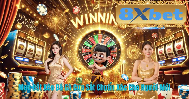 Mẹo Bắt Kèo Đá Gà Cựa Sắt Chuẩn Xác Cho Người Mới