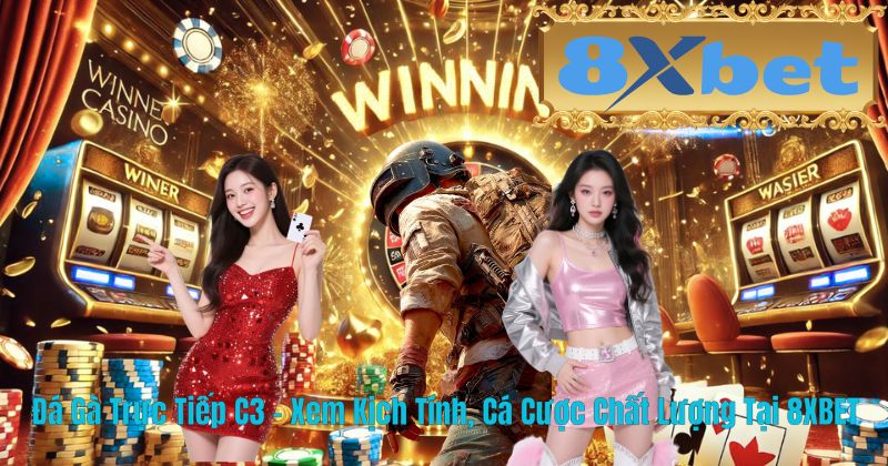 Đá Gà Trực Tiếp C3 – Xem Kịch Tính, Cá Cược Chất Lượng Tại 8XBET